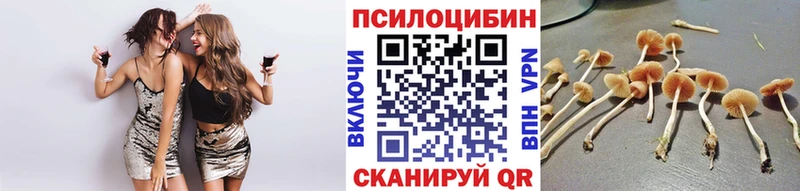 Псилоцибиновые грибы GOLDEN TEACHER Минеральные Воды